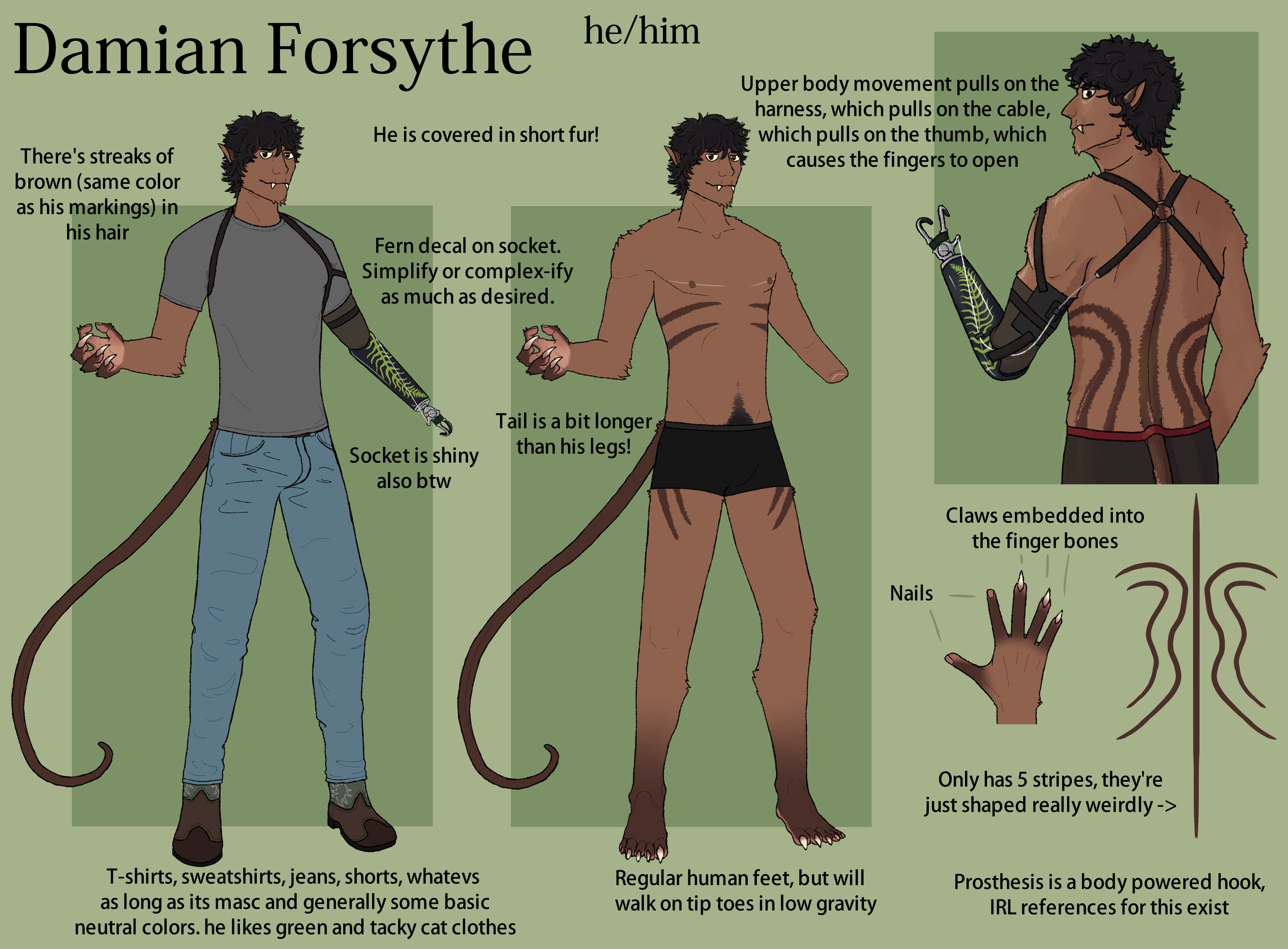 Digital art: Reference sheet for Damian, a human male with cat-like characteristics such as full body fur, pointed ears, claws, fangs, and a tail. The reference shows his typical clothes, what he looks like under them, and a few details such as his back stripes and claws.